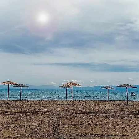 Olive Grove Beachfront *