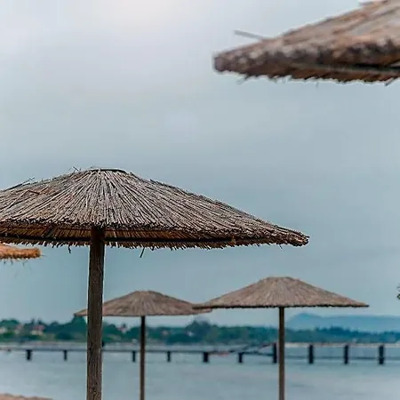 Olive Grove Beachfront