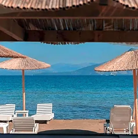 Hotell Olive Grove Beachfront *